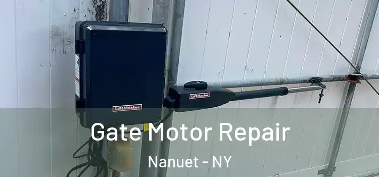 Gate Motor Repair Nanuet - NY