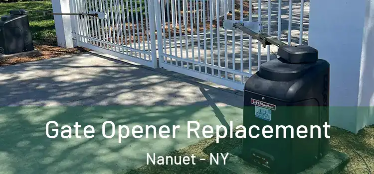 Gate Opener Replacement Nanuet - NY
