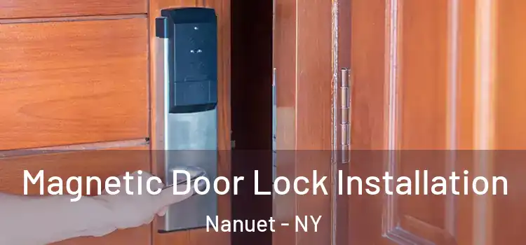  Magnetic Door Lock Installation Nanuet - NY